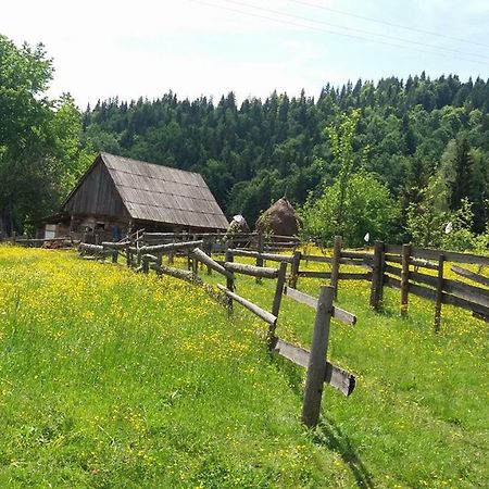 Pensiunea Miesca Matisesti Exteriér fotografie
