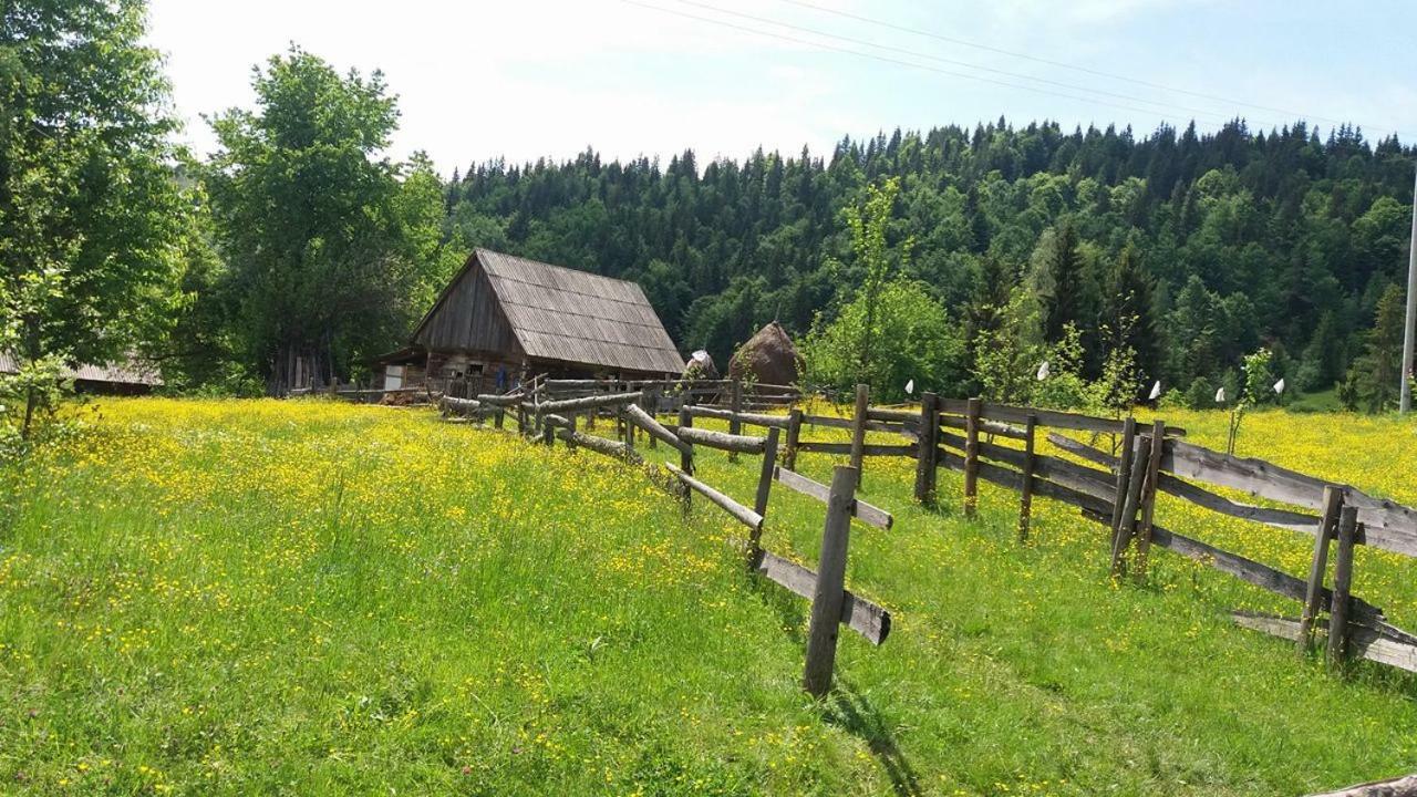 Pensiunea Miesca Matisesti Exteriér fotografie