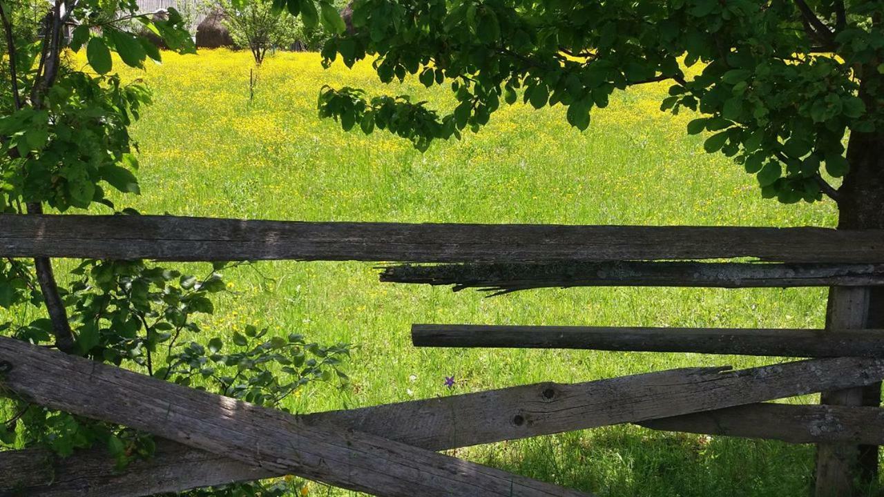 Pensiunea Miesca Matisesti Exteriér fotografie