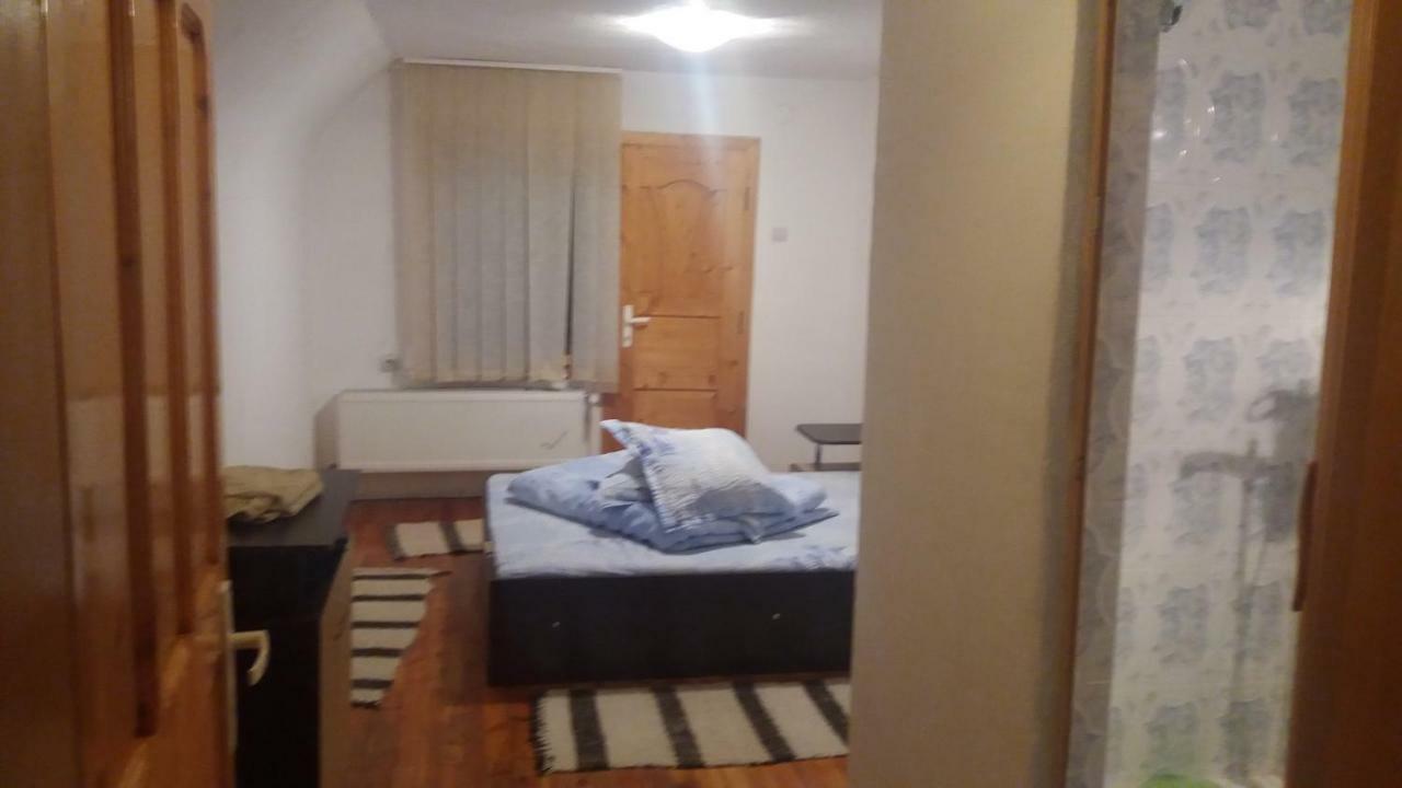 Pensiunea Miesca Matisesti Exteriér fotografie